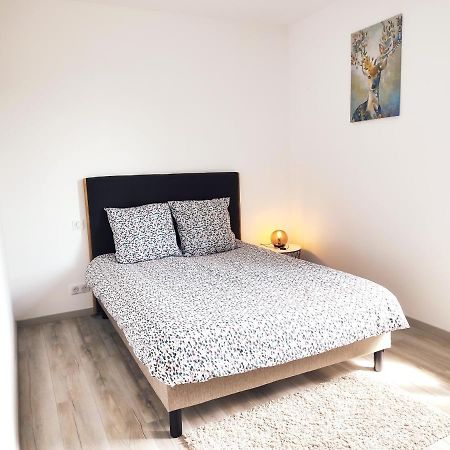 ⁂⁂ Le Chamois Appartement Cledicihome / Magnifique Vue Sur Les Montagnes / 4 Kms De Gerardmer ! ⁂⁂ Rochesson Ngoại thất bức ảnh