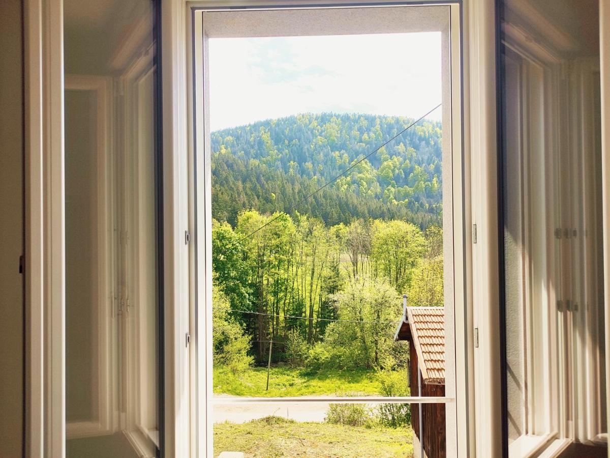 ⁂⁂ Le Chamois Appartement Cledicihome / Magnifique Vue Sur Les Montagnes / 4 Kms De Gerardmer ! ⁂⁂ Rochesson Ngoại thất bức ảnh