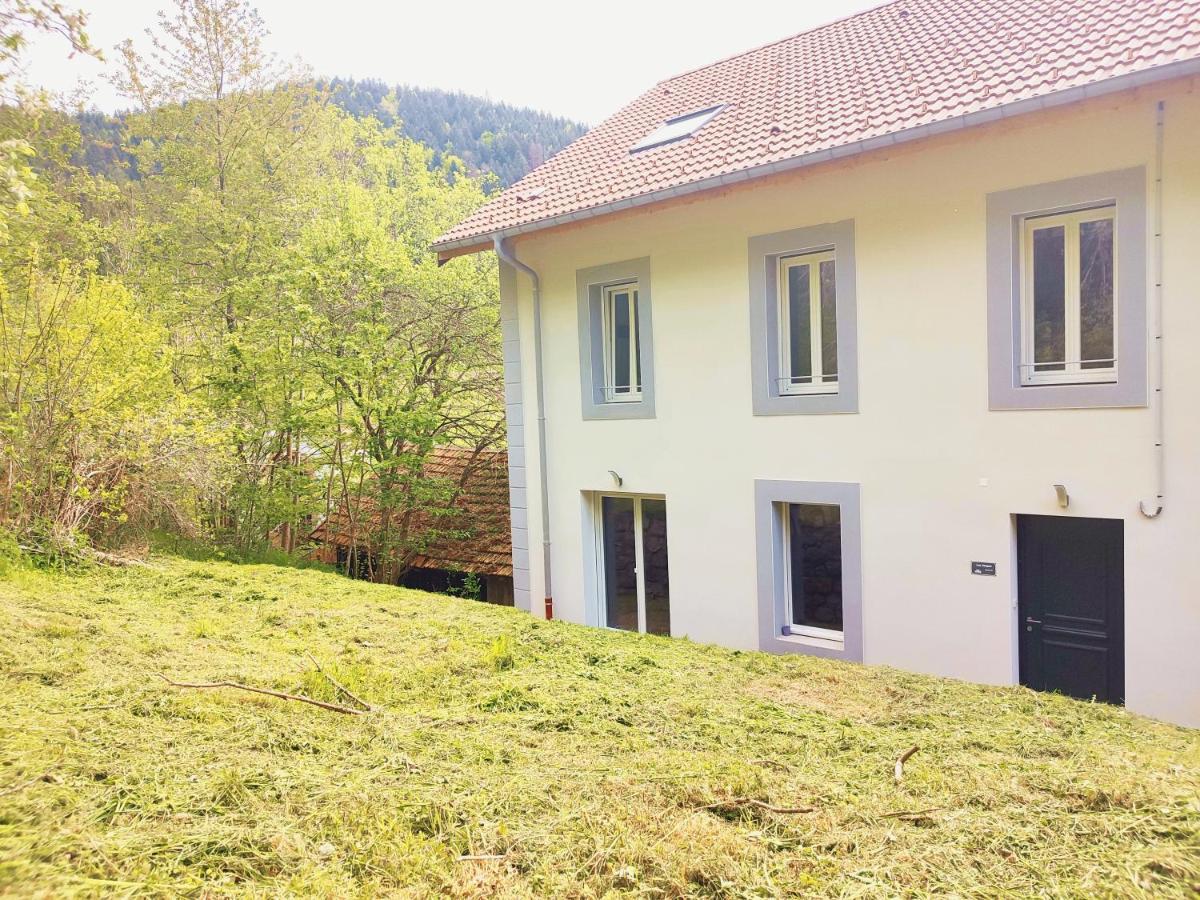 ⁂⁂ Le Chamois Appartement Cledicihome / Magnifique Vue Sur Les Montagnes / 4 Kms De Gerardmer ! ⁂⁂ Rochesson Ngoại thất bức ảnh